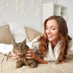 Teddington Vets offer tips on how to be a responsible cat owner
