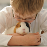 Read Molesey Vets’ advice before buying kids a small furry pet