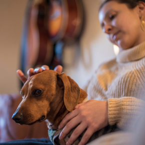Darren shares 7 checks you should do on your dog at home and why