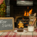 Cat and dog owners need Darren’s Christmas list of pet poisons