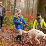 Dogs will love Molesey Vets’ guide to a tail-wagging December