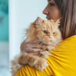 Vet Darren Partridge shares advice on dealing with an anxious cat
