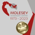 Announcement – Celebrating 50 Years of Caring for Your Pets