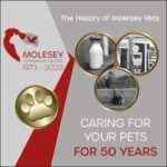 Molesey Vets’ 50th Anniversary-  The History of Molesey Vets