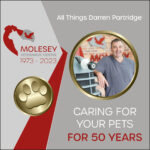 Molesey Vets’ 50th Anniversary – All Things Darren Partridge