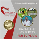 Molesey Vets’ 50th Anniversary – Giving Something Back
