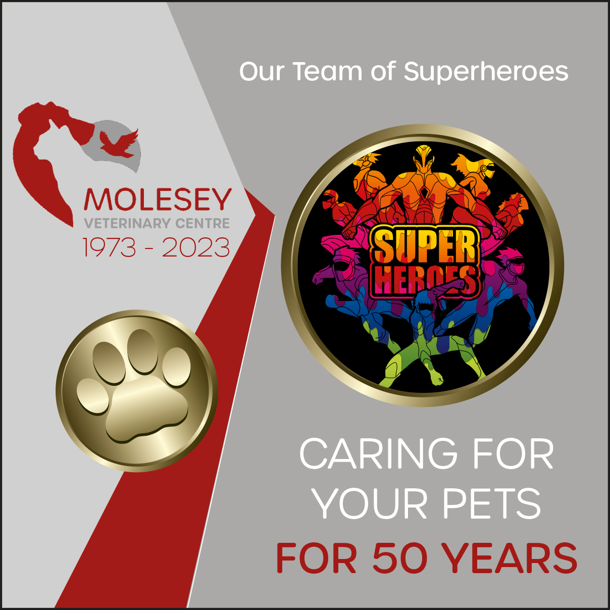 Molesey Vets’ 50th Anniversary – Our Team of Superheroes