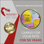 What Our Clients Say About Us
