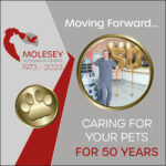 Molesey Vets’ 50th Anniversary – Moving Forward