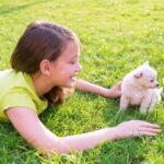 7 top tips for getting a new puppy or kitten this summer in Surrey