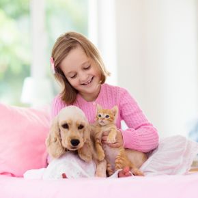 Molesey Vets’ guide to buying & rehoming pets this summer