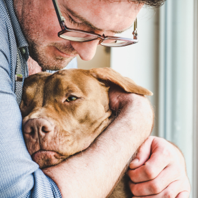 CW // Saying goodbye – how best to help your pet at their final appointment