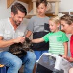 Valuable advice for cat adoption in 2024 from Claygate Vets