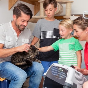 Valuable advice for cat adoption in 2024 from Claygate Vets
