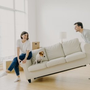How to help your dog cope with the upheaval and stress of a house move