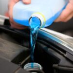 Antifreeze poisoning in cats – what you need to know
