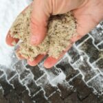 Road salt – the hidden dangers for dogs this winter