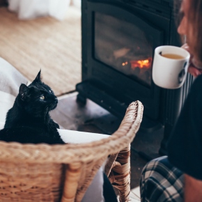 Could a change in your cat’s behaviour this winter be due to SAD?