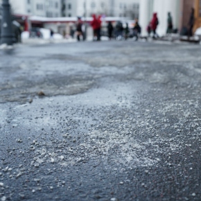 Winter paw care: protect dogs in from road salt