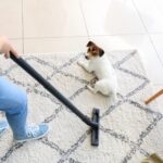 Spring cleaning? First, read Darren’s advice on hay fever & dust allergies in dogs