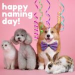 Claygate Vet Nurses Share Ideas for the Perfect Pet Name