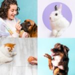 Trick Training for Dogs, Cats and Rabbits with Molesey Vets 