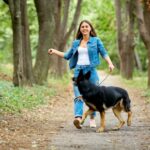 Bored of Your Surrey Dog Walks? How to Spice Things Up