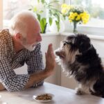 Claygate Vets’ Practical Enrichment Tips for Busy Dog Parents