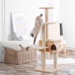 Top Tips for a Happy and Enriched Cat at Home from Claygate Vets