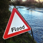 Evacuating With Pets: Molesey Vets’ 8 Point Flood Plan