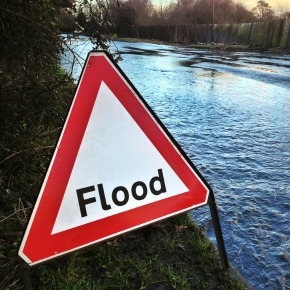 Evacuating With Pets: Molesey Vets’ 8 Point Flood Plan