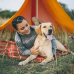 New Year Bucket List Adventures for Dogs in Surrey