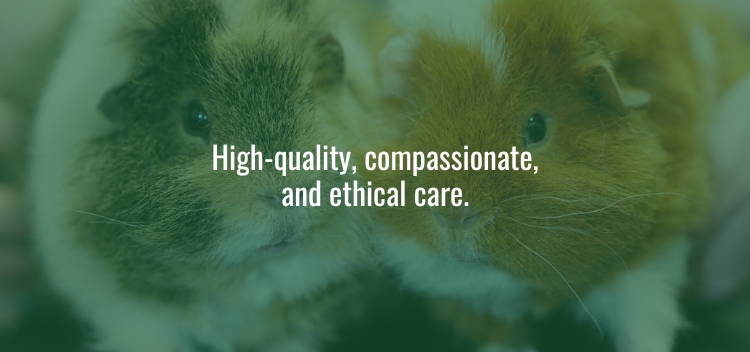 Our Commitment to Your Pet’s Care