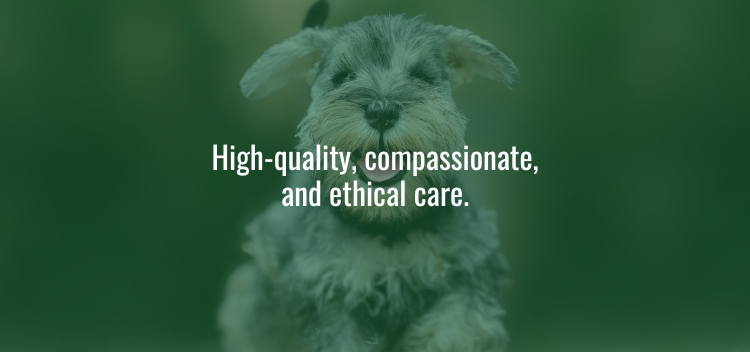 Our Commitment to Your Pet’s Care