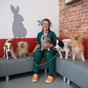 Pets Before Profits – Why Molesey Vets Are Proud to Be Independent
