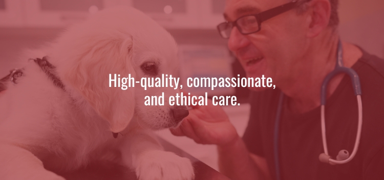 Our Commitment to Your Pet’s Care