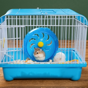 Making Small Furries More Comfortable in Their Senior Years