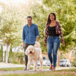 Know When It’s Too Hot to Walk Your Dog
