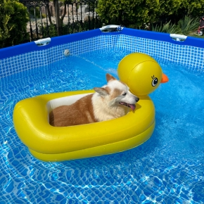 Summer of Fun: Pet Water Safety Advice