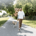 How Hot is Too Hot for Dog Walks in Greater London?
