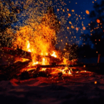 Bonfire Night Basics for Pet Owners