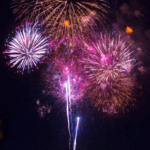 Alpha Vets on Prepping Pets for Firework Season