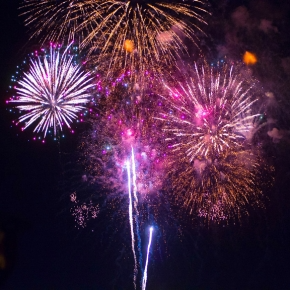 Alpha Vets on Prepping Pets for Firework Season