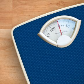 Body Condition Scoring: Is Your Pet the Right Shape?