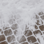 Senior Pet Mobility: Preventing Slips and Falls on Ice