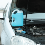 Key Signs of Antifreeze Poisoning from Our Vets in Claygate