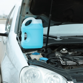 Key Signs of Antifreeze Poisoning from Our Vets in Claygate