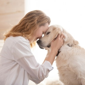 Claygate Veterinary Centre Shares Why Pet Companionship is So Special