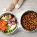 What is A Healthy Pet Weight for Summer in Surrey
