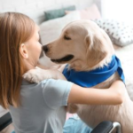 School Holidays and Pets: Advice from vets in East Molesey